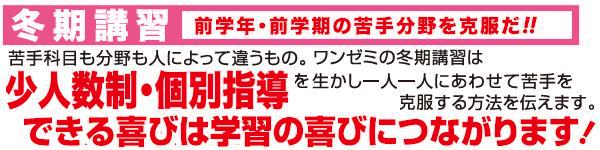 �~���u�K�C���[�W���S